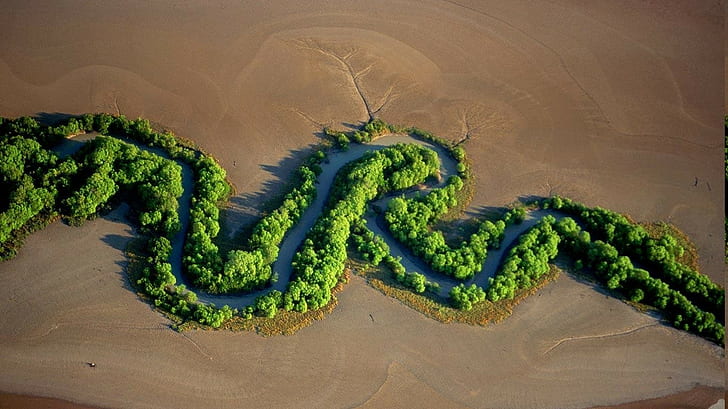 nature desert landscape river trees aerial view australia national park, HD wallpaper