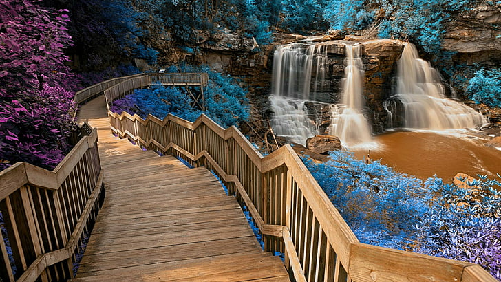 water, nature, body of water, stairs, waterfall, blackwater falls state park, state park, west virginia, plant, usa, united states, davis, blackwater falls, chute, HD wallpaper