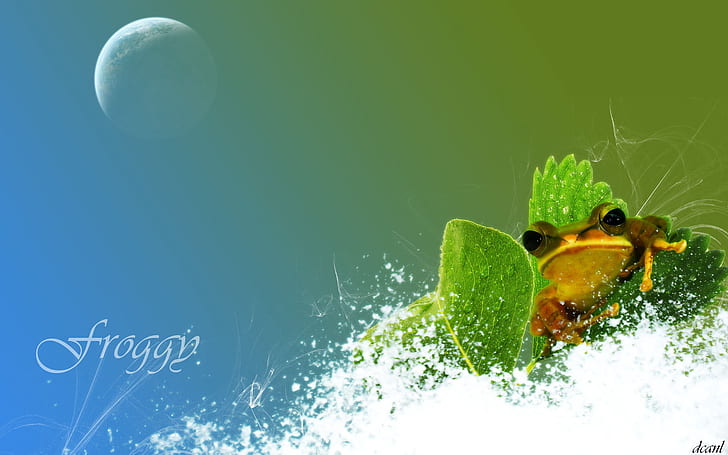 Creative design frog and water, froggy illustration, Creative, Design, Frog, Water, HD wallpaper