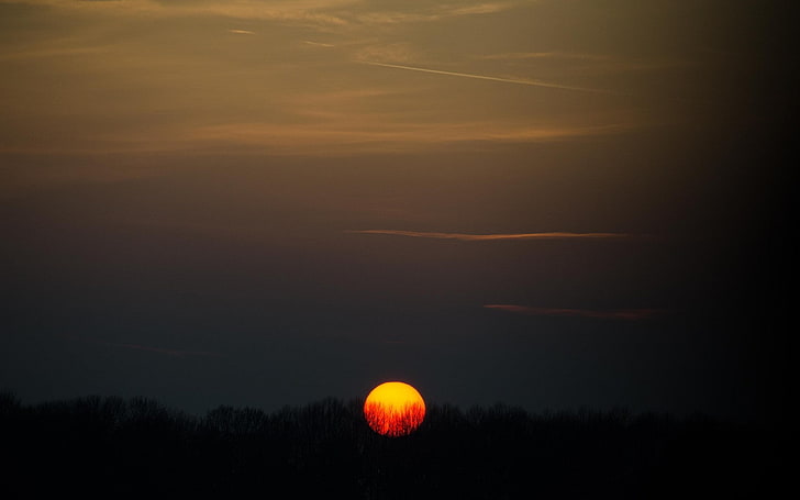 Sonne, Sonnenuntergang, Wald, HD-Hintergrundbild