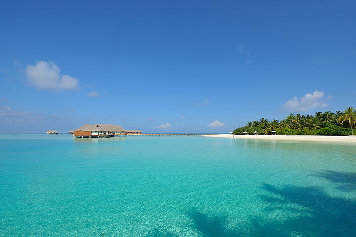 white sand beach, clear water, island, The Maldives, white sand, Seychelles, HD wallpaper