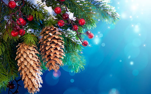 New Year Christmas tree decoration, snow, twigs, berries, New, Year, Christmas, Tree, Decoration, Snow, Twigs, Berries, HD wallpaper HD wallpaper