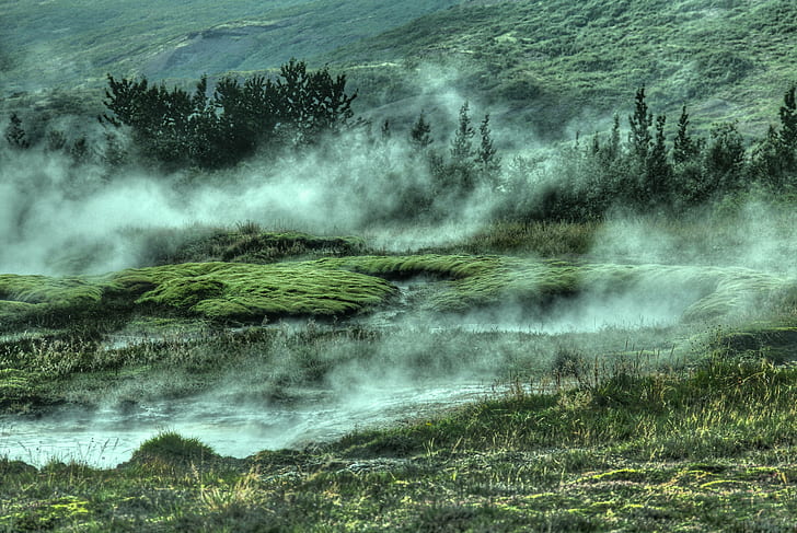 hillside, foggy, landscape, fog, mist, forest, mountain, HD wallpaper