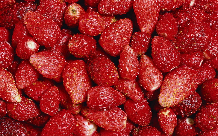 Tasty Strawberry, strawberry, fruit, HD wallpaper