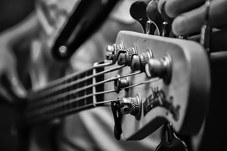 bass guitar, cable, chords, concert, electric bass, fender, guitar, keys, low, music, musical instrument, musical instruments, musician, notes chords, pentagram, rock, score, show, song, sound, stage, strings, tool, to, HD wallpaper HD wallpaper