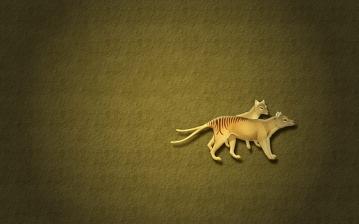 etobur köpek Thylacine (Tazmanya kurdu) hayvanlar diğer HD sanat, köpek, çizgili, etobur, keseli, Tazmanya, Tazmanya kurdu, HD masaüstü duvar kağıdı