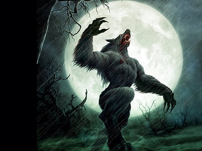 hombre lobo aullando bajo el fondo de pantalla de luna llena, oscuro, hombre lobo, Fondo de pantalla HD HD wallpaper