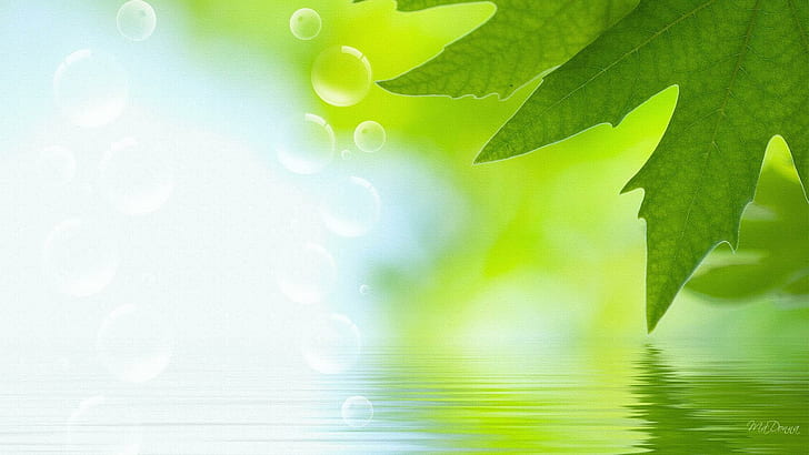 Spring Green Nine, water, spring, firefox persona, ripple, blue, leaves, bokeh, summer, 3d and abstract, HD wallpaper