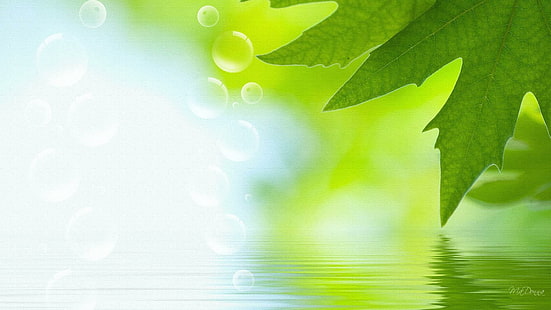 Spring Green Nine, eau, printemps, personnage de Firefox, ondulation, bleu, feuilles, bokeh, été, 3D et abstrait, Fond d'écran HD HD wallpaper
