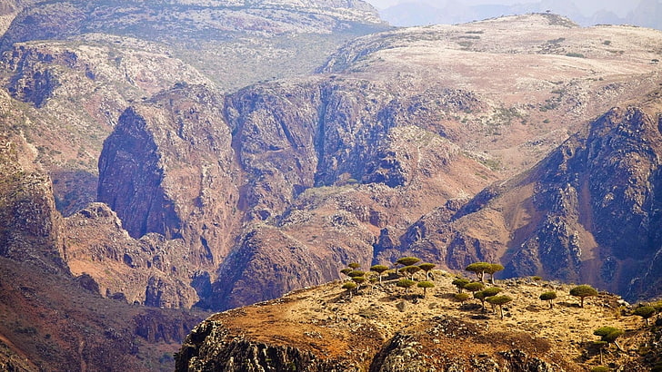 Socotra, ภูมิประเทศ, เยเมน, หิน, ที่ราบสูง, Tableland, โลกที่สูญหาย, เกาะคนต่างด้าว, ต้นมังกร, Dracaena, วอลล์เปเปอร์ HD