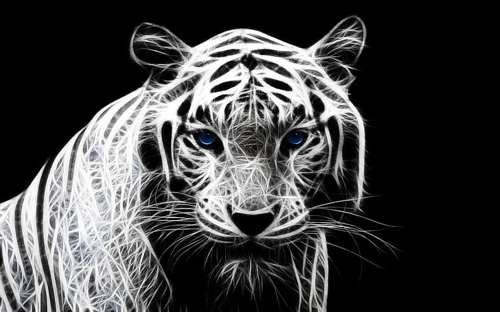 White Tiger With Blue Eyes HD Animals Wallpapers  HD Wallpapers  ID 49442