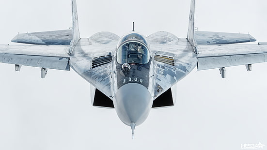 Lutador, lanterna, o MiG-29, piloto, cockpit, da força aérea da Eslováquia, ILS, RL, HESJA Air-Art Photography, HD papel de parede HD wallpaper