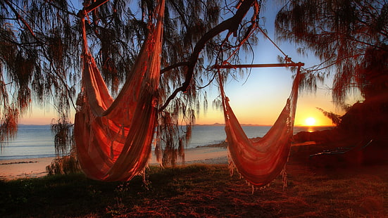 deux hamacs bruns, plage, soleil, détente, hamacs, Fond d'écran HD HD wallpaper
