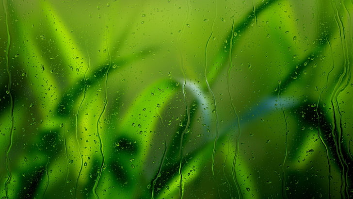 трева, стъкло, допи, макро, текстура, макро фотография, капчици, капки вода, размазване, замъглено, зелено, роса, влага, листа, размазано, наблизо, HD тапет
