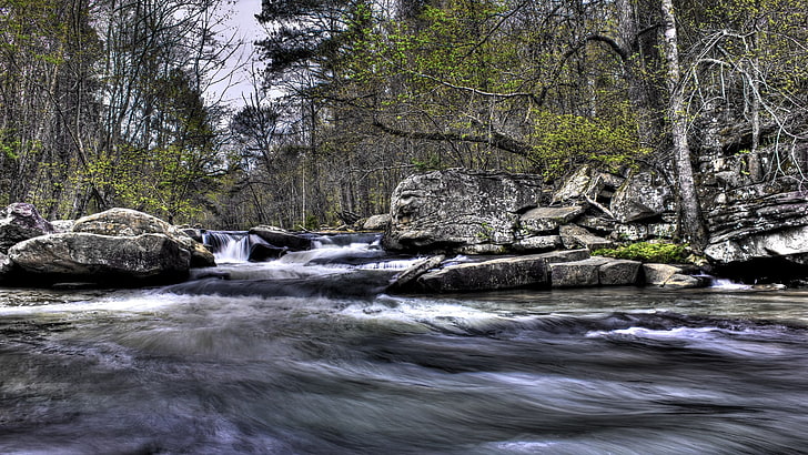 Gewässer, Natur, Bäume, Wald, Fluss, Wasser, Fels, HD-Hintergrundbild