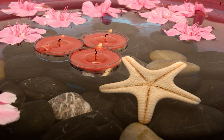 Flotante Cles & Flowers, estrella de mar blanca y tres velas perfumadas rojas, flotante, naturaleza muerta, elementos de spa, flores, velas, 3d y abstracto, Fondo de pantalla HD