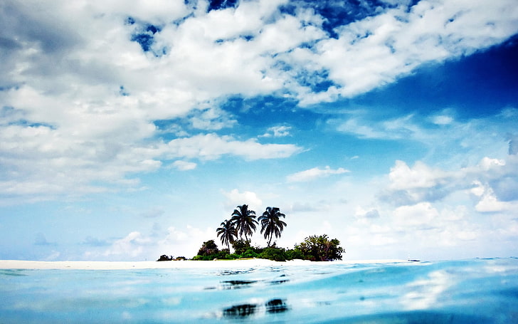 tre kokospalmer, strand, sand, palmer, tropisk, himmel, moln, hav, natur, HD tapet