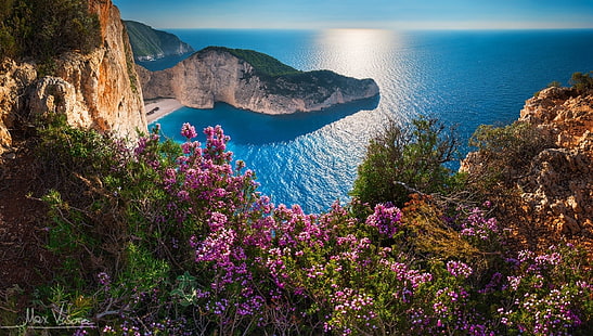 Earth, Ocean, Coast, Flower, Greece, Horizon, Mykonos, Pink Flower, Rock, วอลล์เปเปอร์ HD HD wallpaper