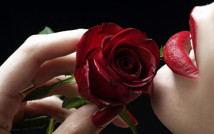 Red Rose Flower läppar med rött läppstift 4K HD Desktop Wallpaper för mobiltelefoner och bärbar dator 3840 × 2400, HD tapet