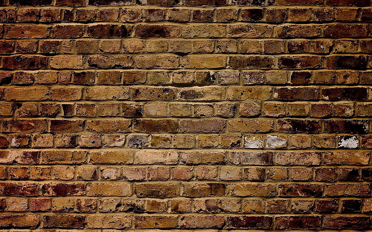 brown bricked wall, wall, brick, structure, surface, HD wallpaper