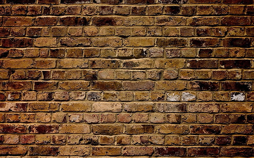 brown bricked wall, wall, brick, structure, surface, HD wallpaper HD wallpaper