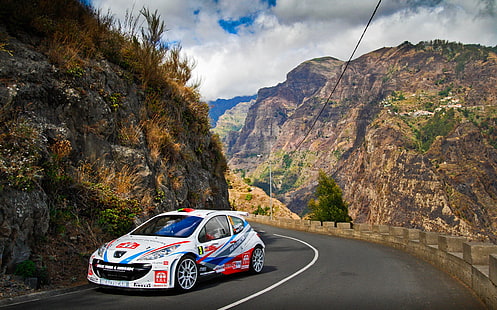 Jalan, Pegunungan, Putih, Olahraga, Peugeot, WRC, Rally, 207, Wallpaper HD HD wallpaper