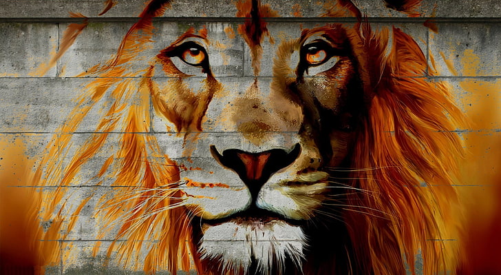 Lion, painting of lion, Artistic, Graffiti, lion, wild, street, HD wallpaper