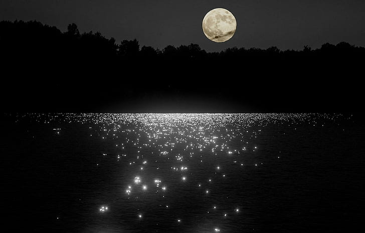 лунна светлина, нощ, вода, HD тапет
