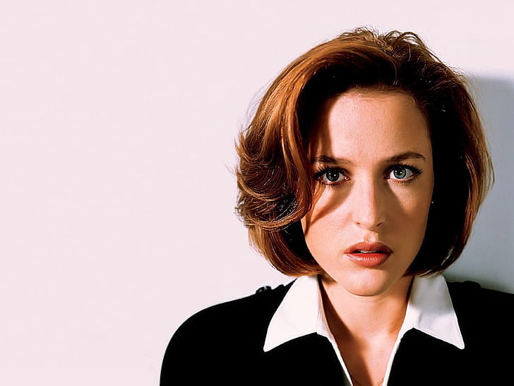 Gillian Anderson Gillian Anderson - From The X-Files People Actresses HD Art , Gillian Anderson, HD wallpaper