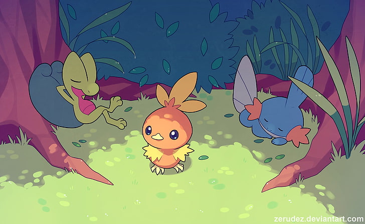 ภาพตัดปะสัตว์สามสี ได้แก่ Pokémon, Treecko, Mudkip, Torchic, วอลล์เปเปอร์ HD
