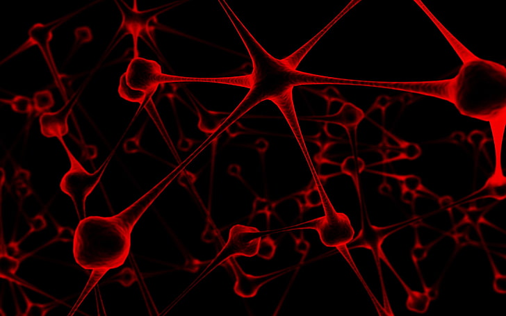 abstrak, neuron, Wallpaper HD