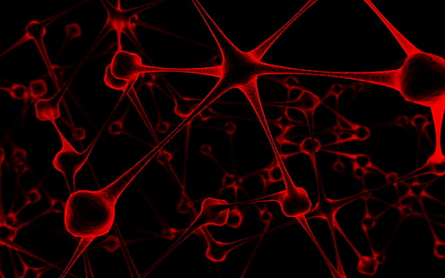 مجردة ، الخلايا العصبية، خلفية HD HD wallpaper