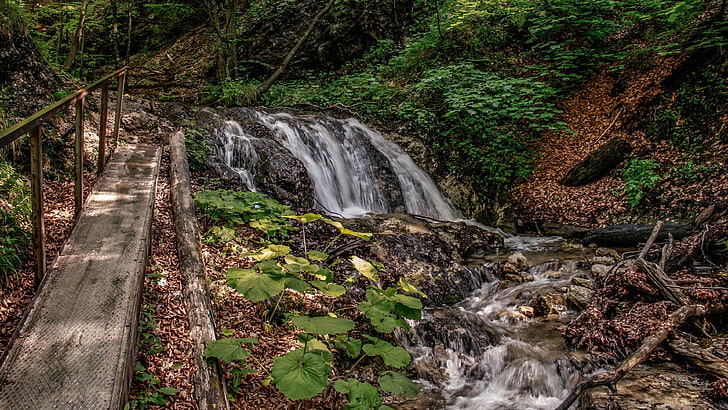 waterfall, stream, leaf, watercourse, tree, creek, plant, forest, HD wallpaper