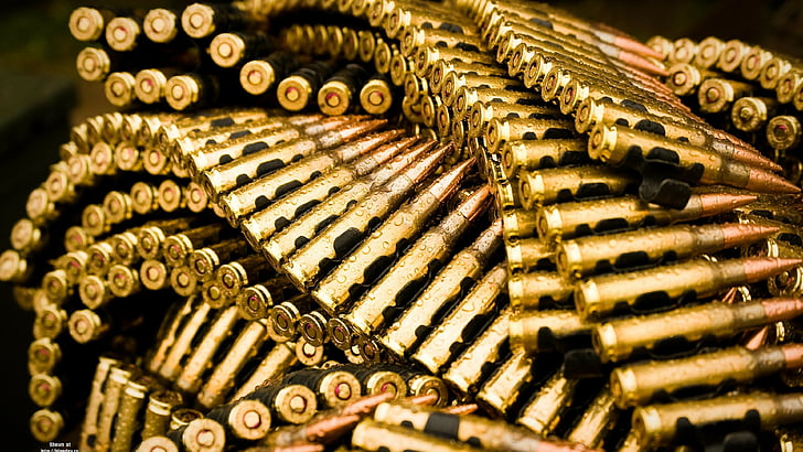 brass-colored gun ammo, Gold bullets, HD wallpaper