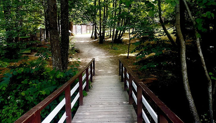 Wald, Holzbrücke, Weg, HD-Hintergrundbild