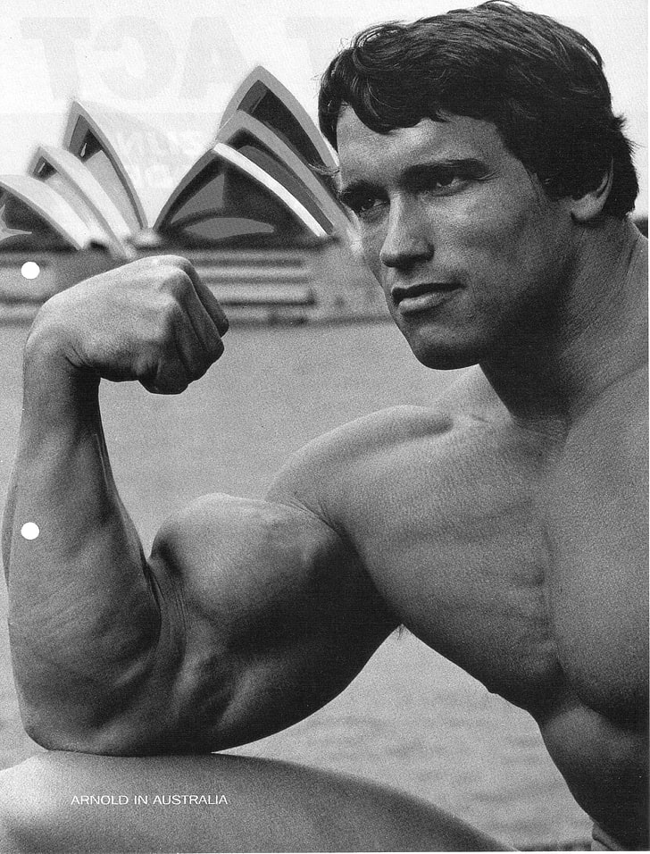 Arnold Schwarzenegger, Arnold Schwarzenegger, bodybuilding, Bodybuilder, skivstång, hantlar, gym, mager, tränar, HD tapet, telefon tapet