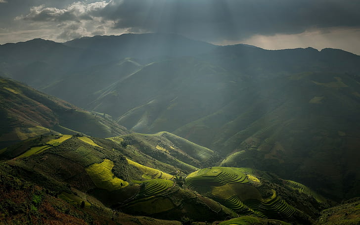 mountains, nature, valley, rice paddy, field, Vietnam, clouds, sun rays, mist, landscape, terraces, HD wallpaper