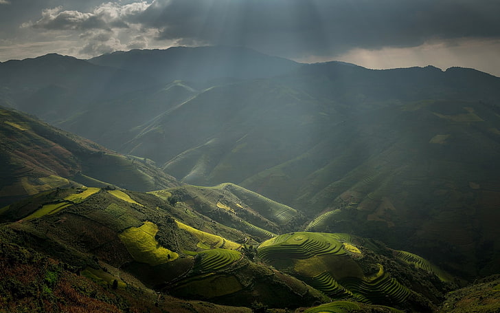 nature, landscape, rice paddy, sun rays, mountains, terraces, field, clouds, mist, valley, Vietnam, HD wallpaper