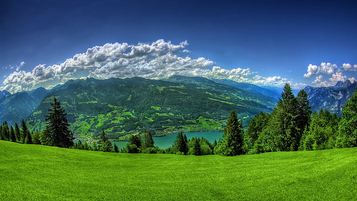 clouds, grass, lake, landscape, nature, Walensee, HD wallpaper