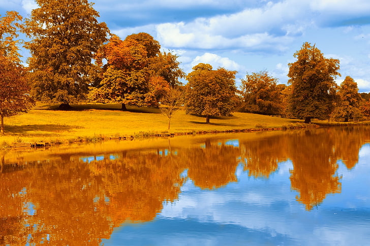 茶色の木、反射、秋、湖、風景、水、葉、カラフル、公園、木、季節、池、川、オレンジ、青、自然、 HDデスクトップの壁紙