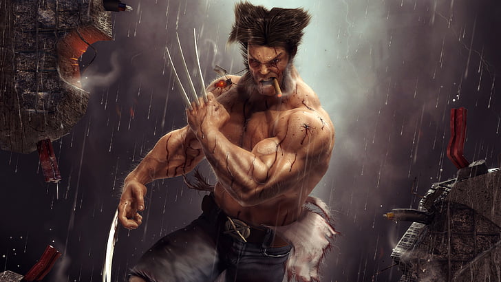 Wolverine smoking cigar, Logan, Wolverine, Obra de arte, Fondo de pantalla HD
