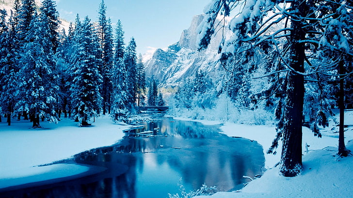 träd, landskap, tallskog, snöig, tall, berg, ström, vattendrag, gran, frost, vinter, vildmark, himmel, flod, frysning, snö, vatten, natur, blå, HD tapet