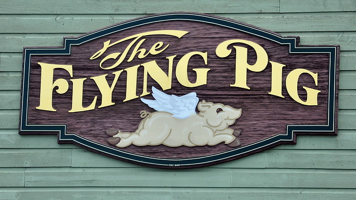 Flying Pig, humor, HD tapet
