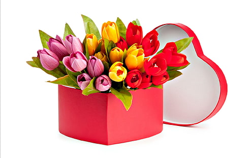 Ramo de tulipanes, tulipanes amarillos, rojos, tulipanes amarillos, románticos, tulipanes, hermosos, primavera, flores, Fondo de pantalla HD HD wallpaper