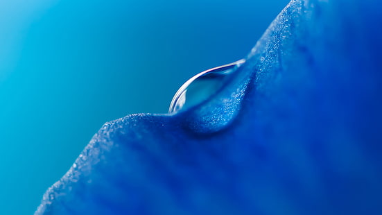 Blue Droplet Honor MagicBook Stock, Blue, honor, Stock, Macro, Droplet, MagicBook, HD wallpaper HD wallpaper