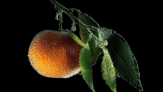 丸いオレンジ色の果物、マクロ、桃、果物、水滴、 HDデスクトップの壁紙 HD wallpaper