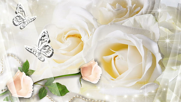 Delicate Pure, apricot rose, soft, virginal, stars, purity, white roses, beads, butterfly, silk, yellow rose, shine, HD wallpaper