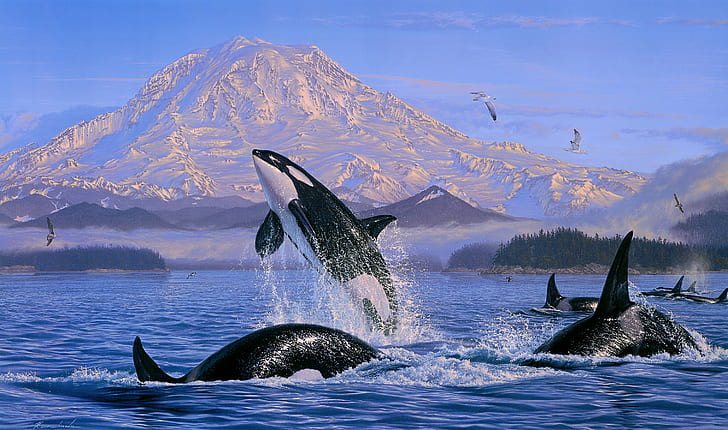 Hewan, Orca, Artistik, Lukisan, Kehidupan Laut, Wallpaper HD