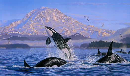 Tier, Schwertwal, Künstlerisch, Malen, Sea Life, HD-Hintergrundbild HD wallpaper