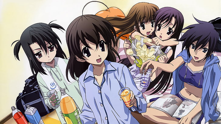 anime characters wallpaper, girls, school days, glasses, fun, joy, HD wallpaper